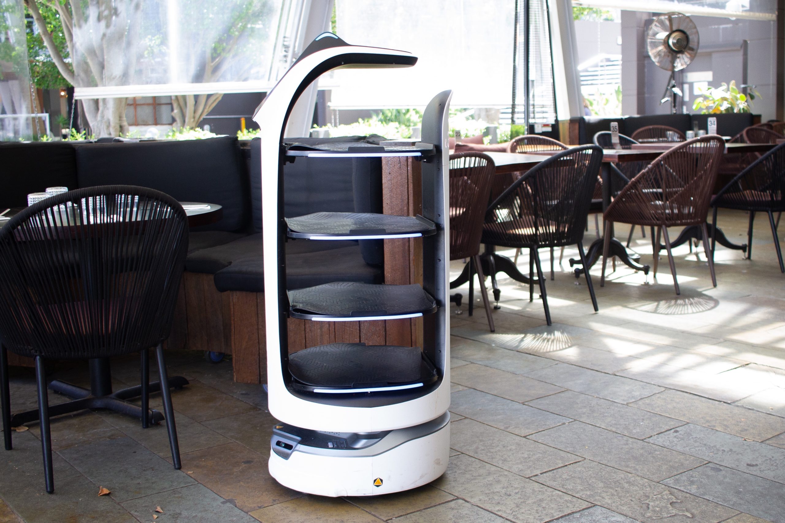 BellaBot at Casa – Robot Waiter